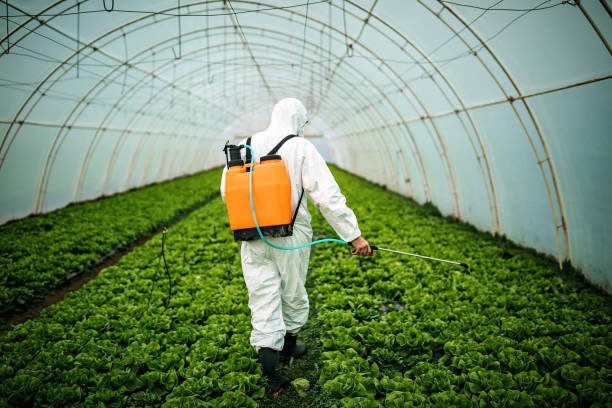 Best Pest Prevention Services  in Baldwin, LA