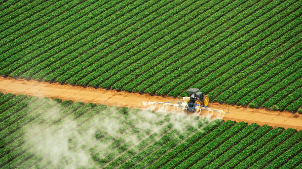 Best Pest Inspection Near Me  in Baldwin, LA