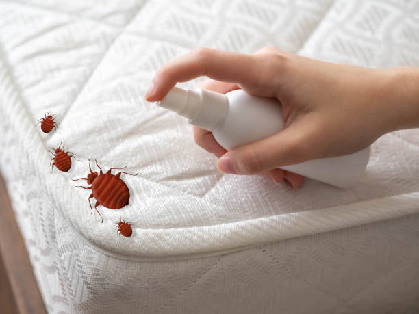 Best Pest Control Near Me  in Baldwin, LA