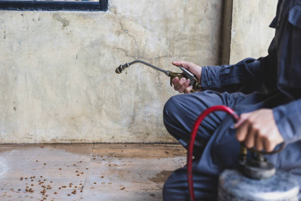Best Wasp Removal Services  in Baldwin, LA